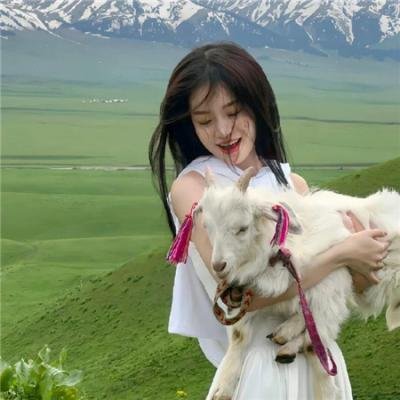 屋顶上的猫海报